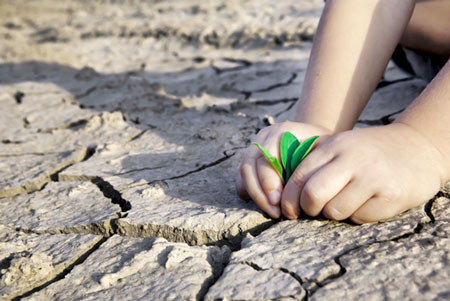 Исправлены рамки Программы по оказанию содействия в борьбе с изменением климата